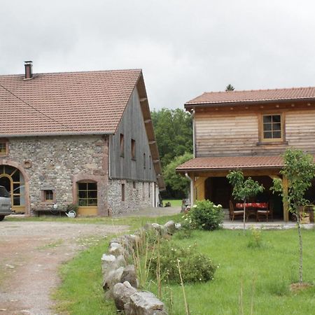 Gites Typiques Au Coeur Des Hautes Vosges Saulxures-sur-Moselotte Exteriör bild